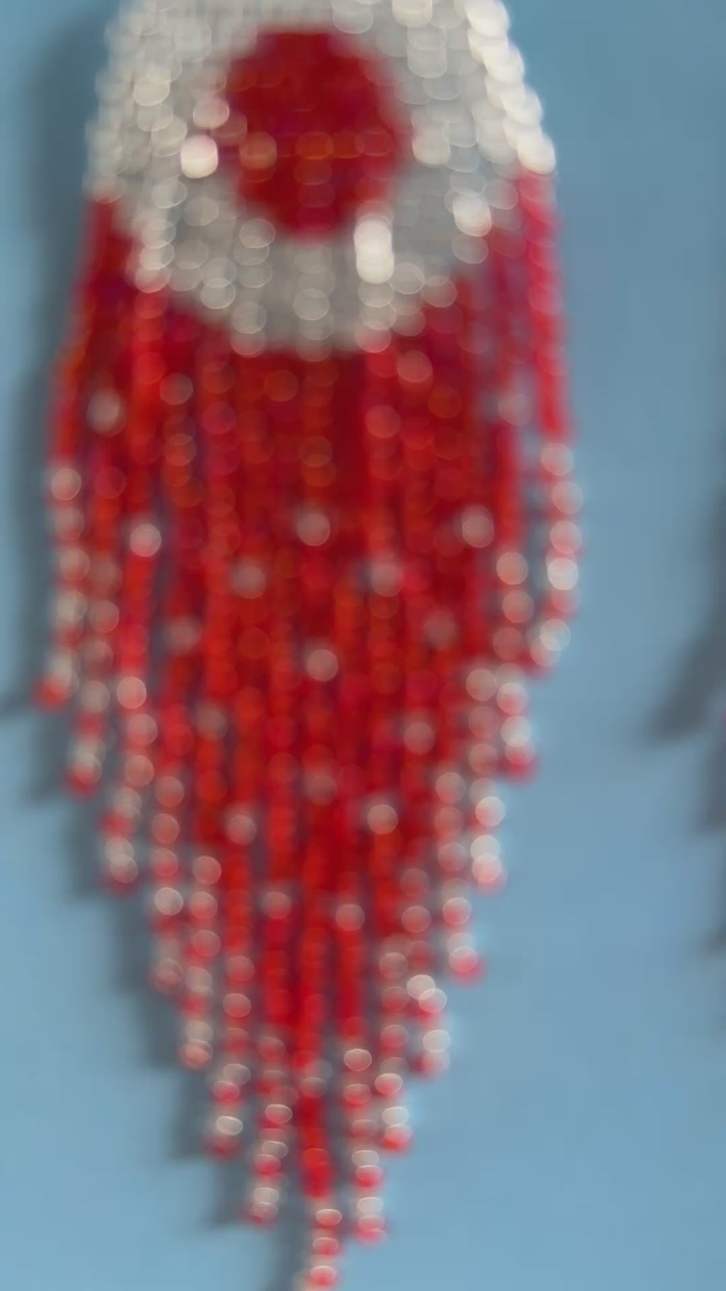 Red Beaded Fringe Earrings